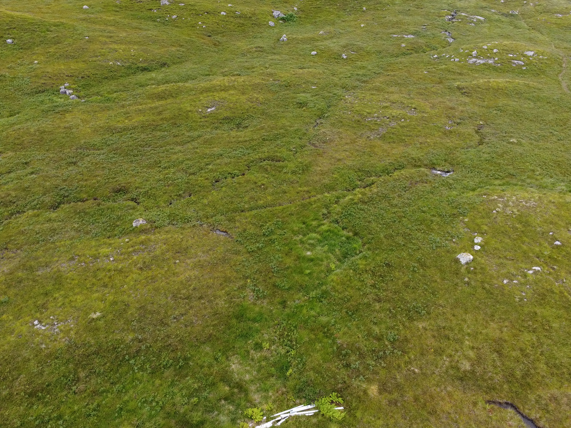 Wycieczka do Fort William