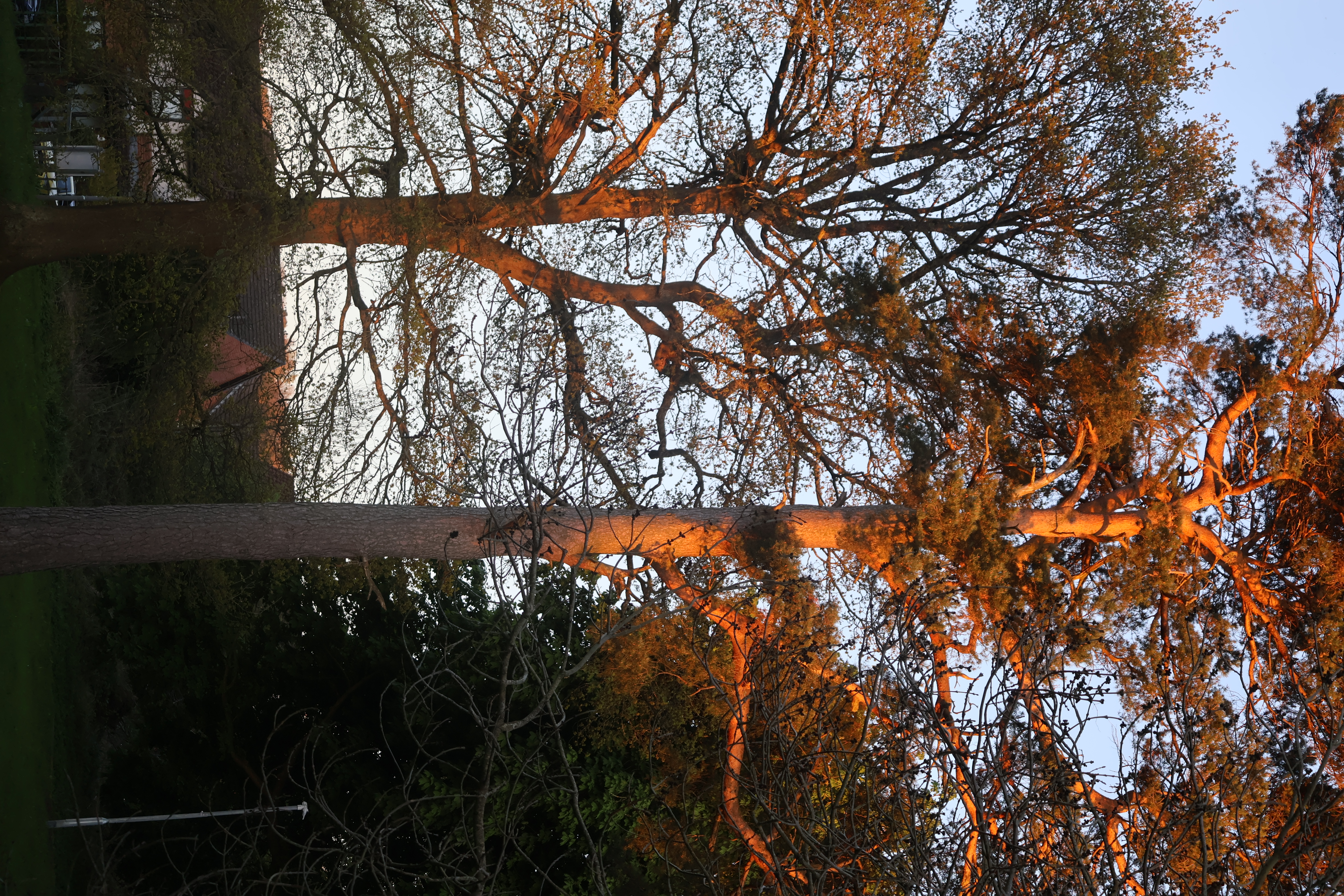 Castlemilk Park